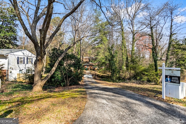 view of road with driveway