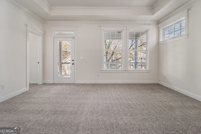 carpeted entrance foyer with a raised ceiling, crown molding, and baseboards