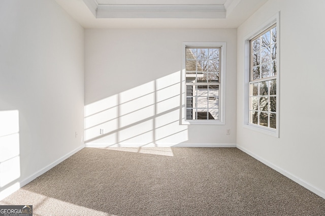 carpeted empty room featuring baseboards, a raised ceiling, and crown molding