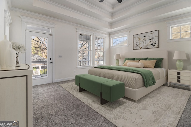 bedroom featuring multiple windows, a raised ceiling, light carpet, and access to exterior