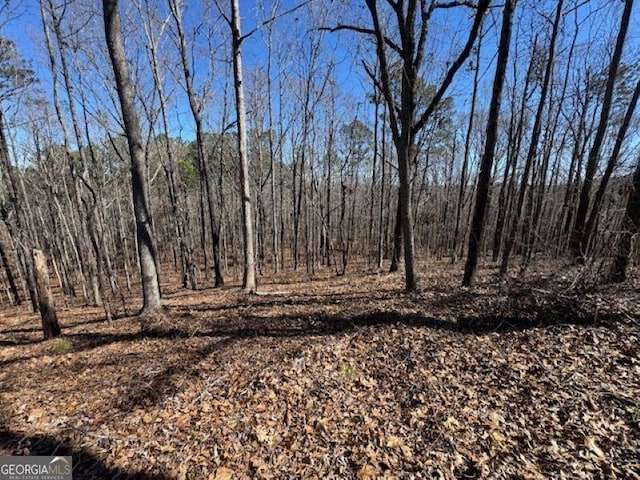 000 Brown Creek Rd, Shiloh GA, 31826 land for sale