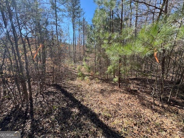 Listing photo 2 for 000 Brown Creek Rd, Shiloh GA 31826