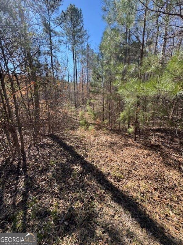 Listing photo 3 for 000 Brown Creek Rd, Shiloh GA 31826