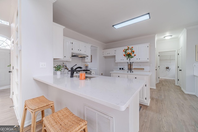 kitchen with a sink, a peninsula, light countertops, and under cabinet range hood