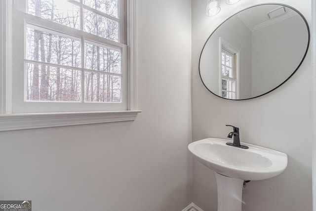 bathroom featuring ornamental molding