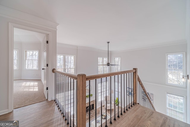 interior space with ceiling fan, wood finished floors, baseboards, and ornamental molding