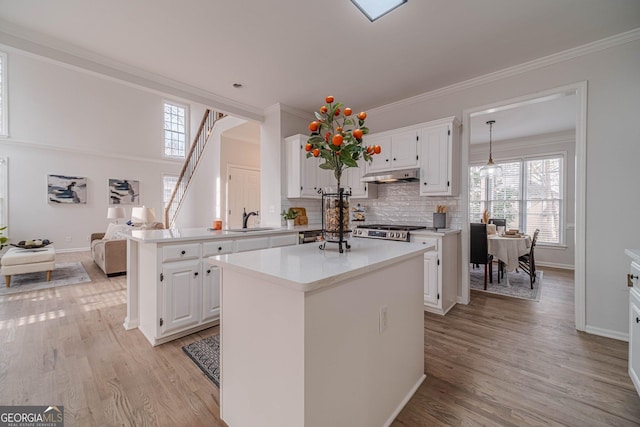 kitchen featuring under cabinet range hood, light wood-style floors, a kitchen island, and light countertops