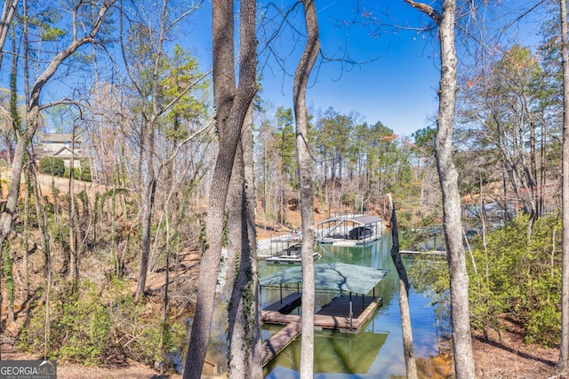 6505 Samoa Way, Flowery Branch, GA 30542 - dock featuring a water view