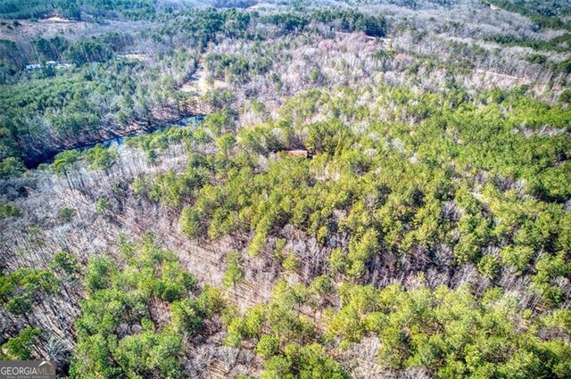 302 Coley Path, Dallas, GA 30157
