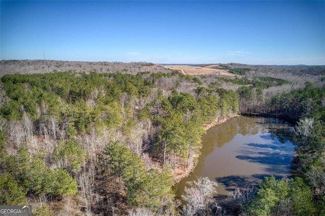 302 Coley Path, Dallas, GA 30157