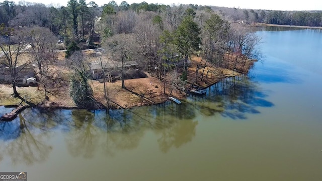 drone / aerial view featuring a forest view and a water view