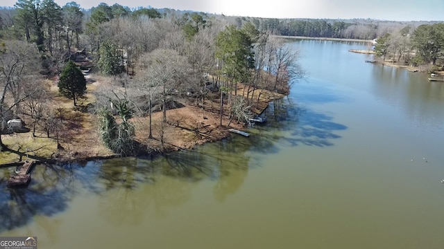 birds eye view of property featuring a wooded view and a water view