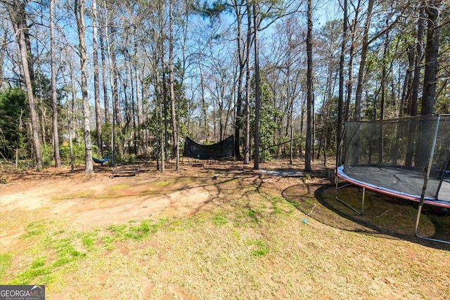 view of yard with a trampoline