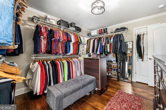 spacious closet with wood finished floors