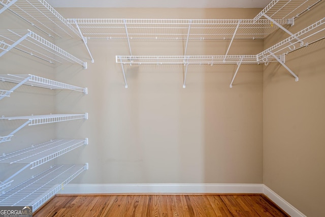 walk in closet featuring wood finished floors