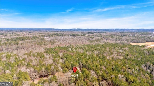 bird's eye view with a view of trees