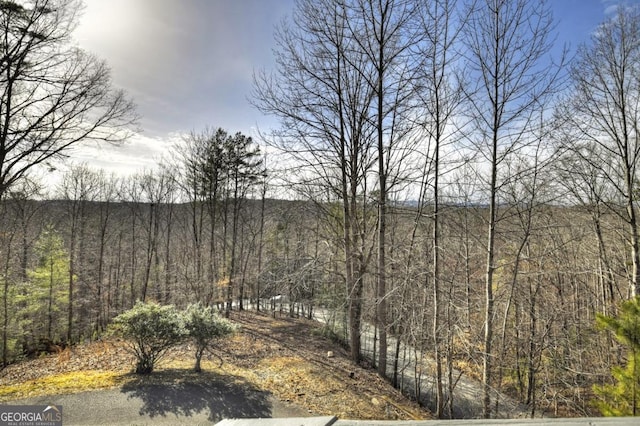 view of local wilderness featuring a forest view