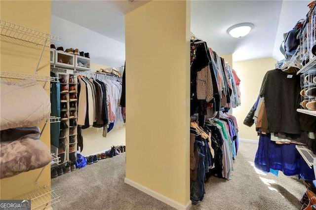 spacious closet featuring carpet