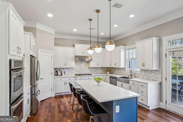 kitchen featuring a wealth of natural light, under cabinet range hood, a sink, a center island, and stainless steel appliances