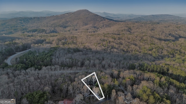 view of mountain feature with a forest view