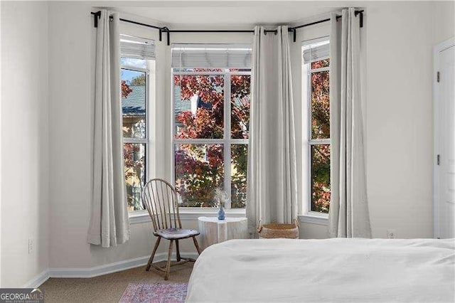 bedroom with carpet and baseboards