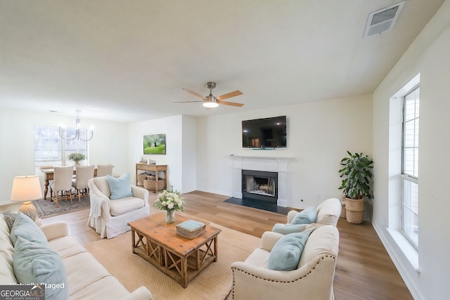 living area featuring ceiling fan with notable chandelier, a fireplace with flush hearth, wood finished floors, and visible vents