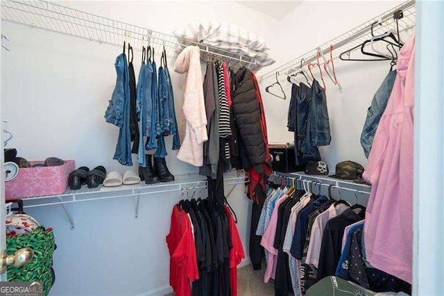 view of spacious closet