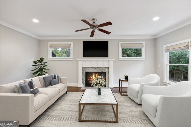 living area with light wood finished floors, baseboards, a wealth of natural light, and a premium fireplace