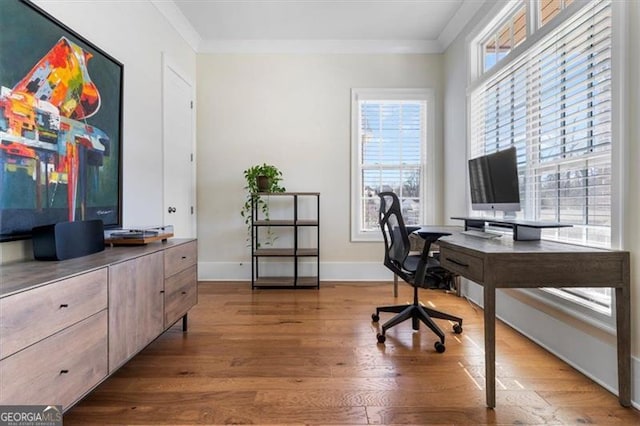 office space with wood finished floors, baseboards, and ornamental molding