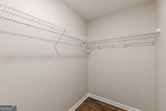spacious closet featuring dark wood-style floors
