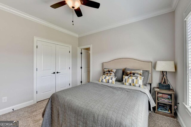 carpeted bedroom featuring a ceiling fan, baseboards, a closet, and ornamental molding