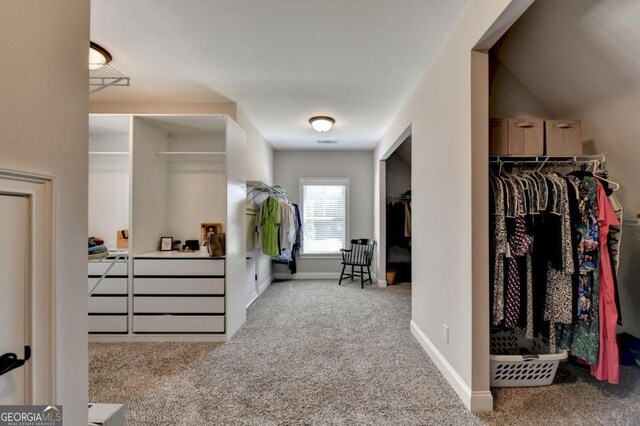 spacious closet featuring carpet