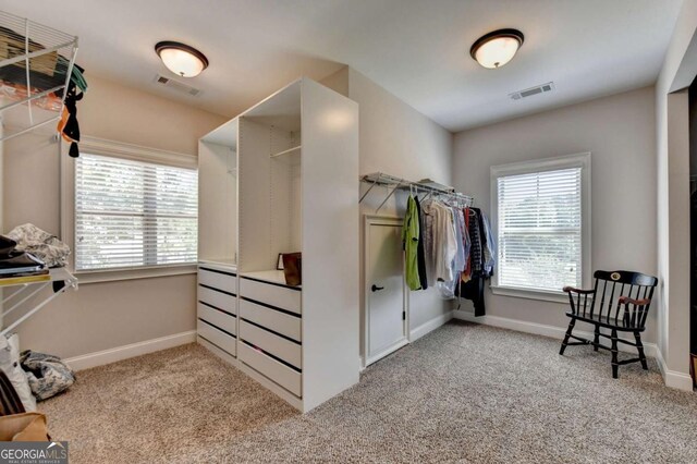 walk in closet featuring carpet and visible vents