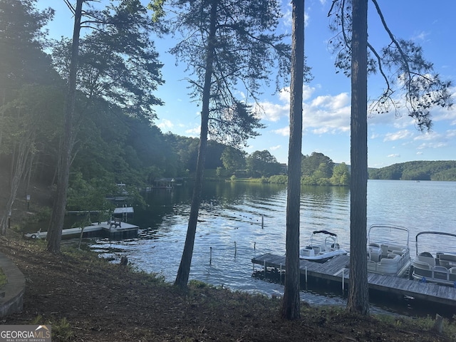 property view of water with a view of trees and a dock