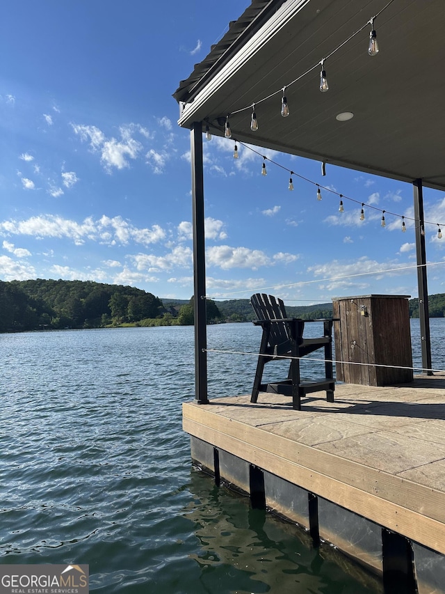 dock area with a water view