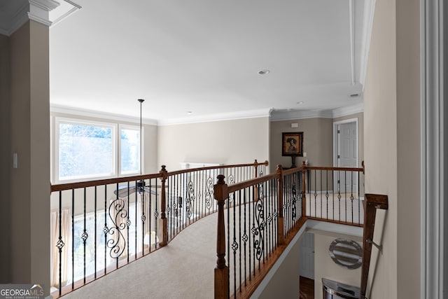 hall featuring crown molding and carpet flooring