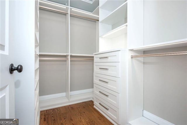 walk in closet featuring dark wood-type flooring