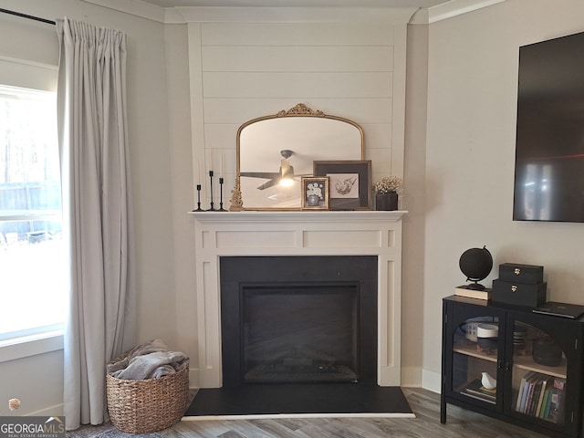 room details with a large fireplace and wood finished floors