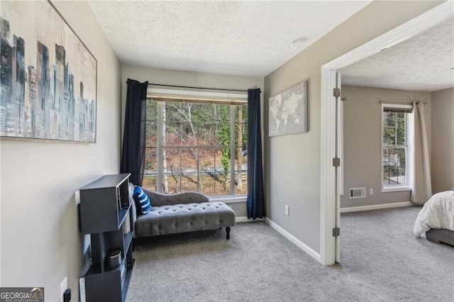 carpeted bedroom with visible vents, baseboards, and a textured ceiling