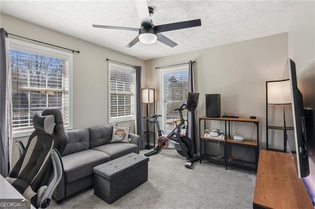 exercise area featuring ceiling fan, carpet flooring, and a textured ceiling