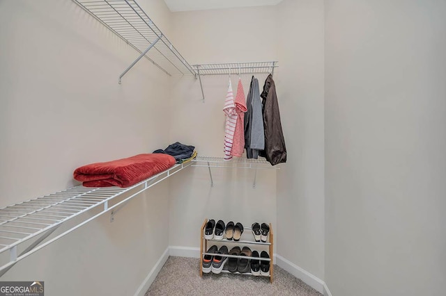 spacious closet with carpet floors