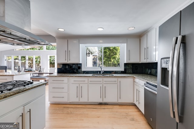 kitchen featuring exhaust hood, stainless steel appliances, a sink, and light wood-style floors