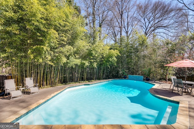 view of pool featuring fence, a patio area, and a fenced in pool