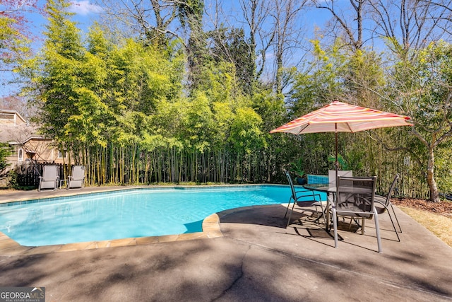 view of swimming pool with a patio and a fenced in pool