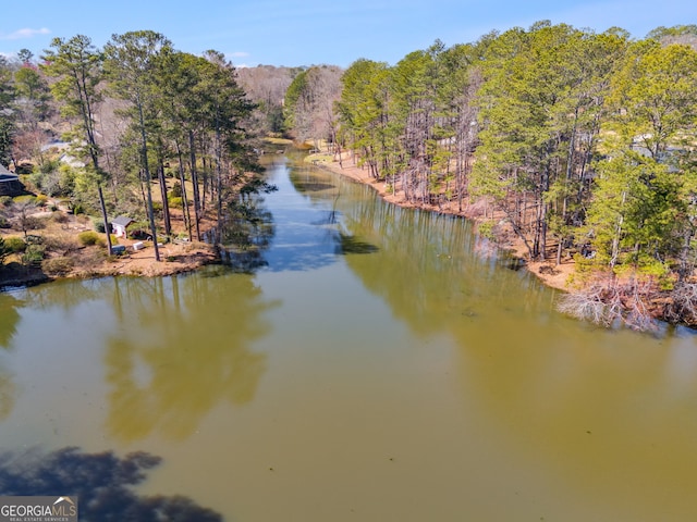 property view of water featuring a wooded view