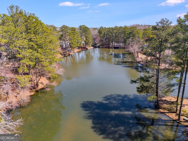 view of water feature