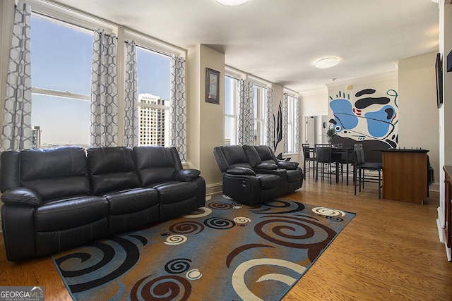 living room featuring ornamental molding and wood finished floors