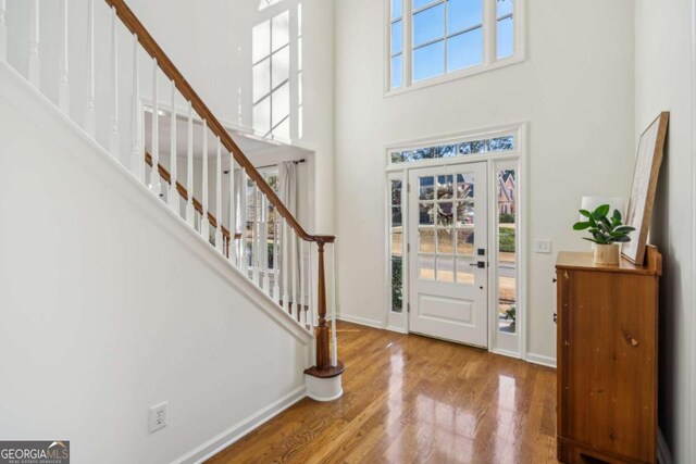 foyer featuring wood finished floors, baseboards, and a wealth of natural light