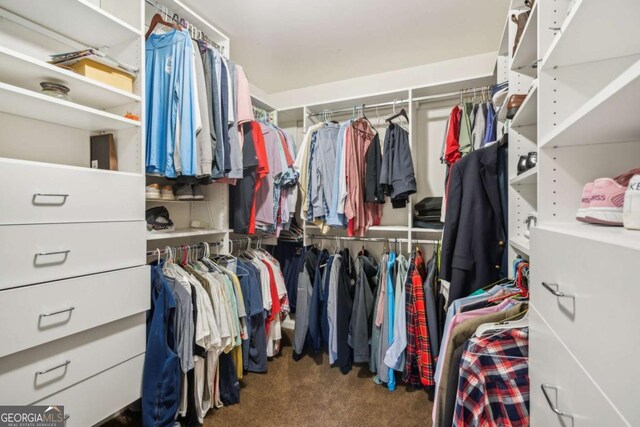 walk in closet with carpet floors