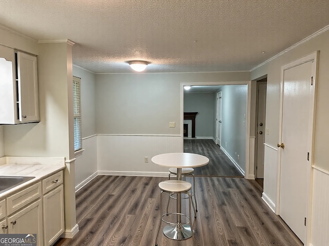 interior space featuring a wainscoted wall, dark wood-style floors, a fireplace, and ornamental molding